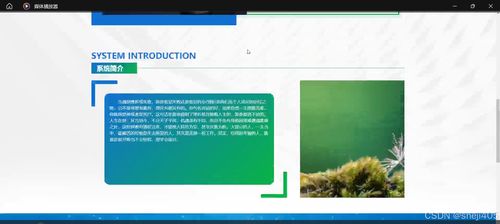 基于SSM與Vue的二手數碼產品回收管理系統 數字化內容制作服務詳解
